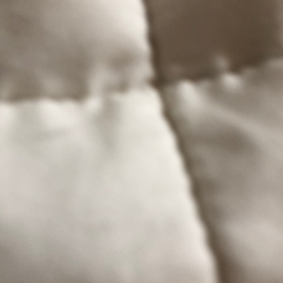 Meet your Posher, Maya - Picture 1 of 1